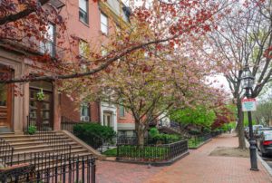 A tree with red and yellow leaves beside a brick sidewalk and residential buildings.